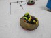 IMG_20200309_145055